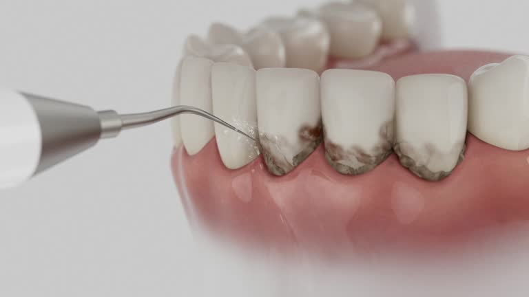 Reliable Dental contractor in East Spencer, NC by Dentist Open Now